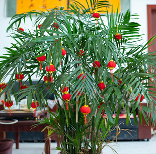 植绒小灯笼 年货婚庆布景装饰大红小灯笼 婚房布置 国庆迷你灯笼