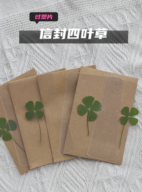 植物标本压花书签脸部装饰品工艺