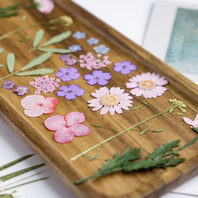 组合包创意干花材料diy树叶标本