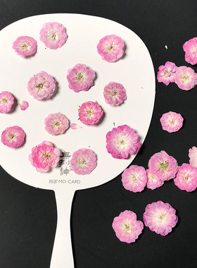儿童干花压花滴胶台灯