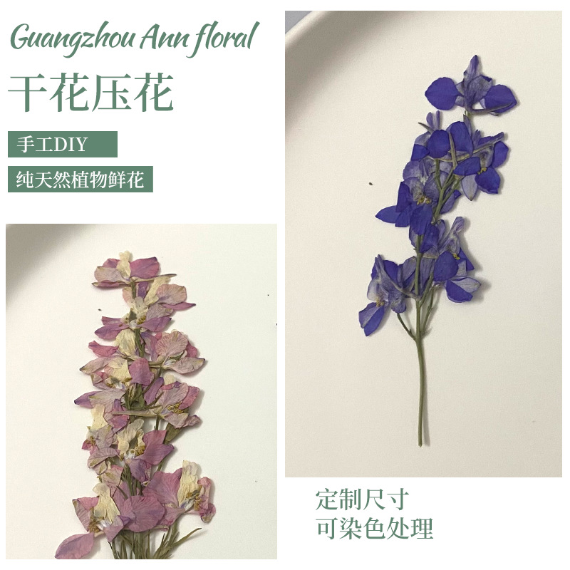 手工书签相框押花材料带枝飞燕