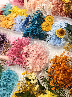 永生花diy花材浮游香薰手工