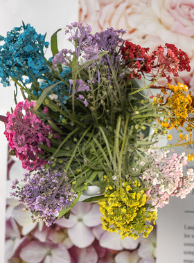 香雪球真花教学手工植物标本diy