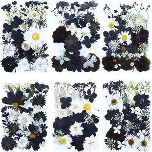 相框Pressed Flower植物标本水墨黑白干花压花DIY材料滴胶手机壳