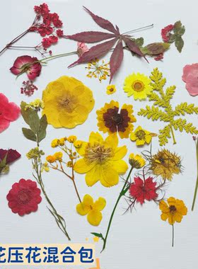 团扇押花diy组合包压花手机壳