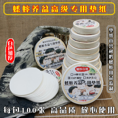 加厚蟋蟀蛐蛐垫纸鲁秋鸣白色宣纸
