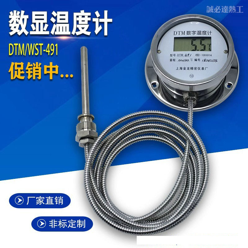 数显温度计WST DTM491数字高精度耐腐蚀防水带探头带软管 工业表