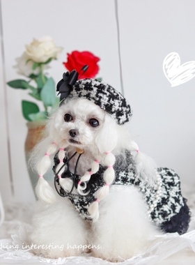 「名媛小香」JELLY果冻家秋冬新品情侣千鸟格黑色加绒宠物猫狗