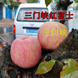 红富士苹果【三门峡】脆甜多汁孕妇水果苹果新鲜产地直发一整箱5
