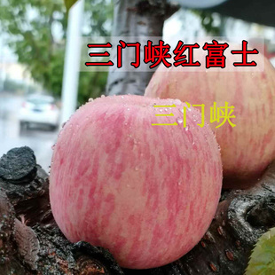 红富士苹果三门峡脆甜多汁孕妇水果苹果新鲜产地直发5斤装一整箱