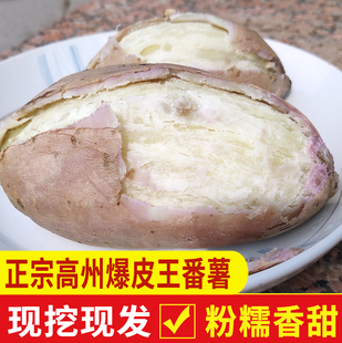 高州爆皮王番薯新鲜粉糯甜白心板栗红薯农家沙地现挖干面地瓜 5斤