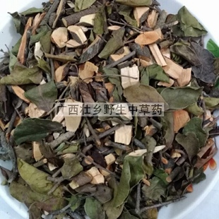 天然刺桐树寄生 海桐寄生 山芙蓉寄生 刺桐寄生干货500g包邮