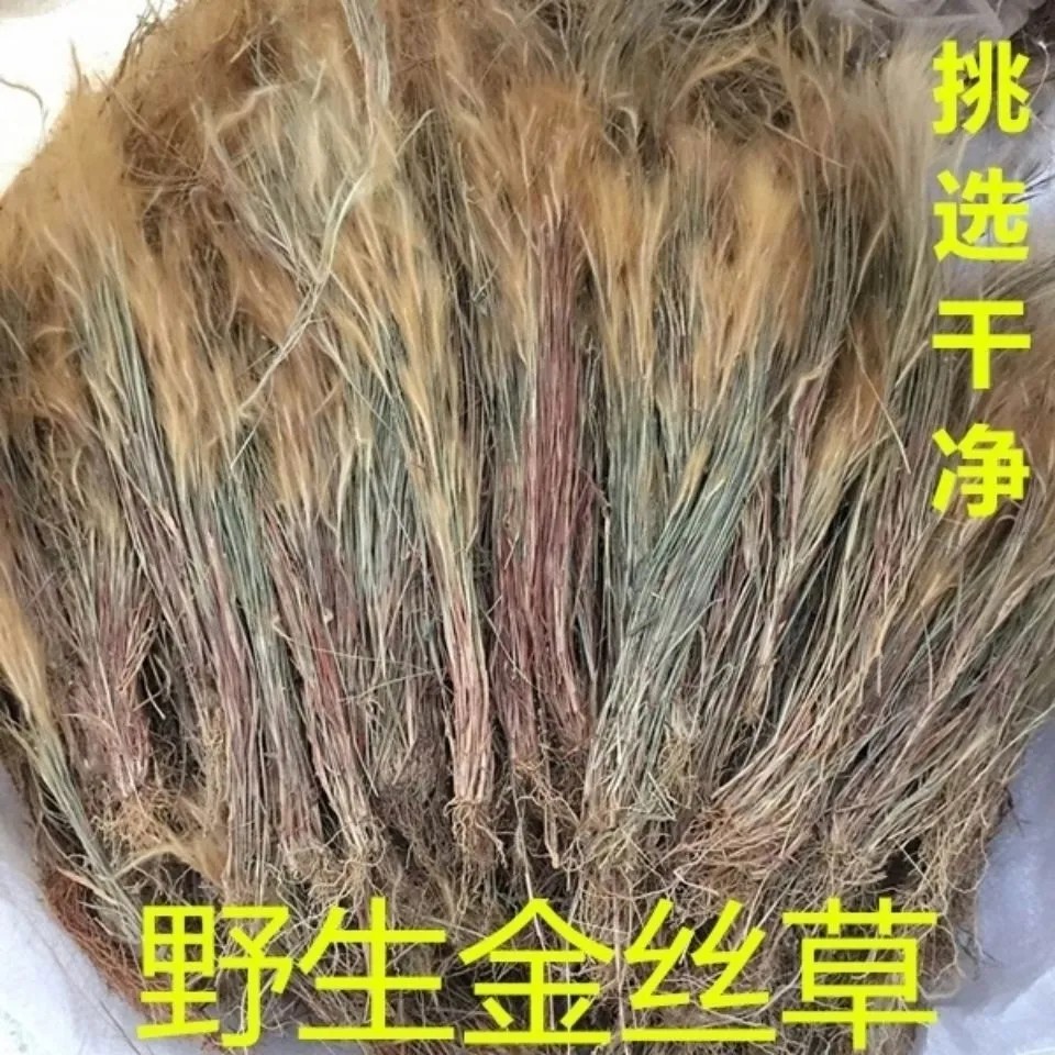 天然猫毛草 金丝草 搭壁竹 墙头竹 笔修草黄毛草干货500g包邮