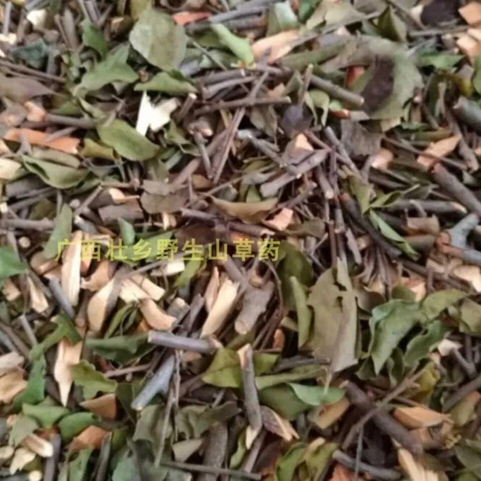 天然山苍子寄生 山鸡椒寄生 山苍树寄生山姜子木香子寄生500g
