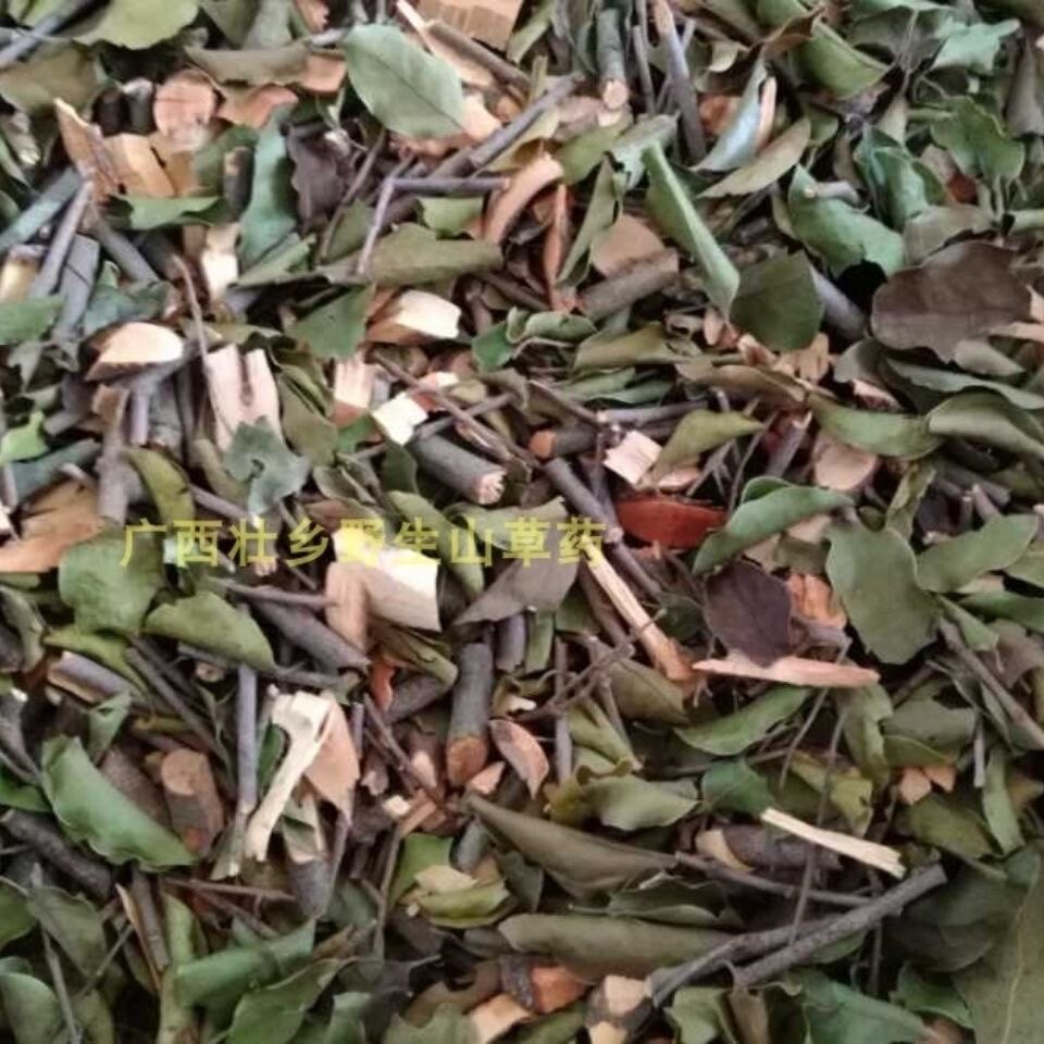 天然山杨梅寄生 龙睛寄生 树梅寄生 干货500g包邮