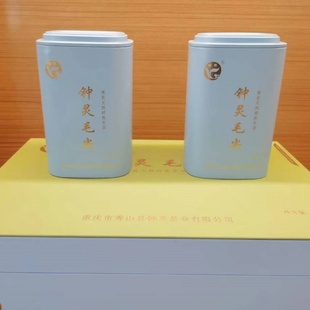 高山绿茶新茶上市2025春季雨前茶叶秀山茶清凉茶重庆钟灵毛尖绿茶