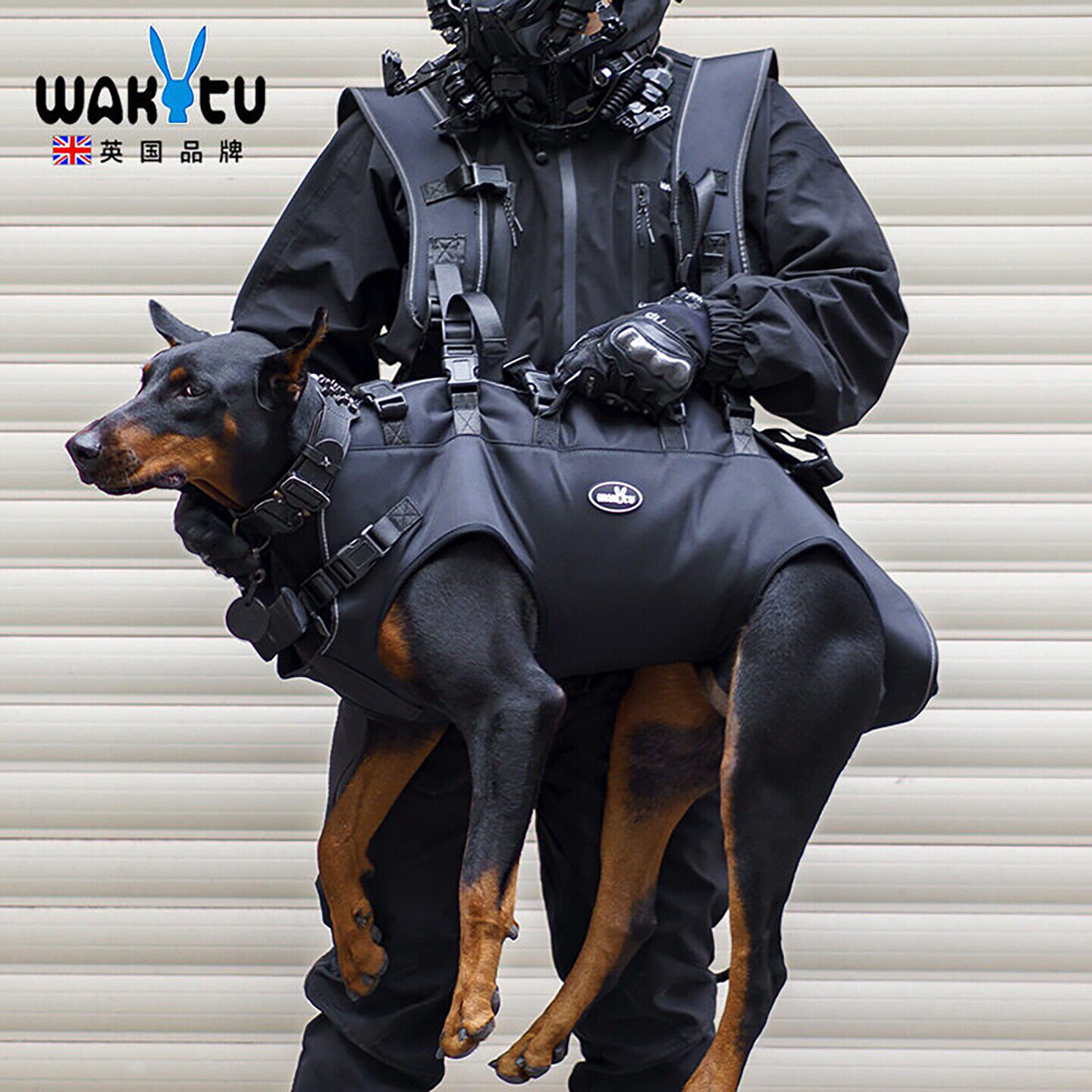 狗狗外出双肩背包大型犬老年犬金毛大狗助行背带宠物骑行背狗神器