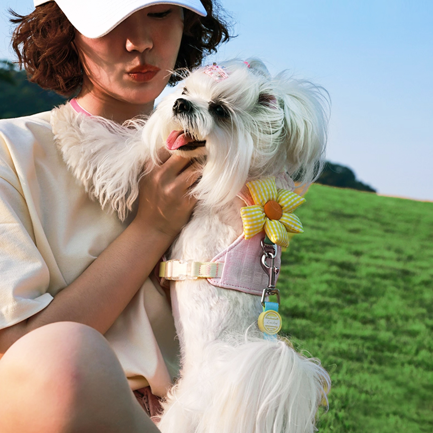 Touchdog狗狗胸背牵引绳小型犬工字型背心式宠物背带遛狗绳不勒脖