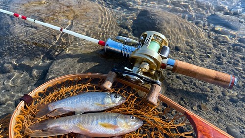 小蜜蜂玻纤弹射微物便携定制手柄