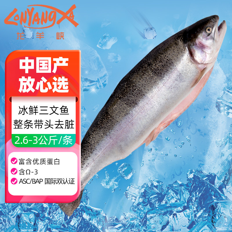 龙羊峡冰鲜三文鱼整条5-6斤青海三文鱼虹鳟鱼国产生食三文鱼
