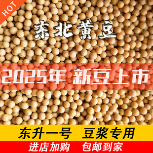 东北大豆打豆浆专用豆腐农家自种2025新黄豆东升一号大粒5斤精品