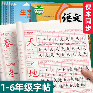 一年级二年级三上册练字帖小学生专用字帖四五六年级下册语文硬笔书法练字本扩句练习课文本每日一练描红手册