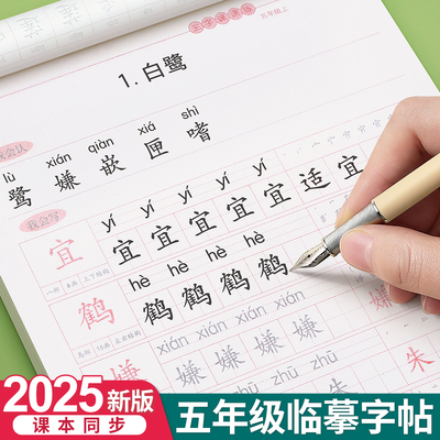 五年级上册下册同步练字帖人教版