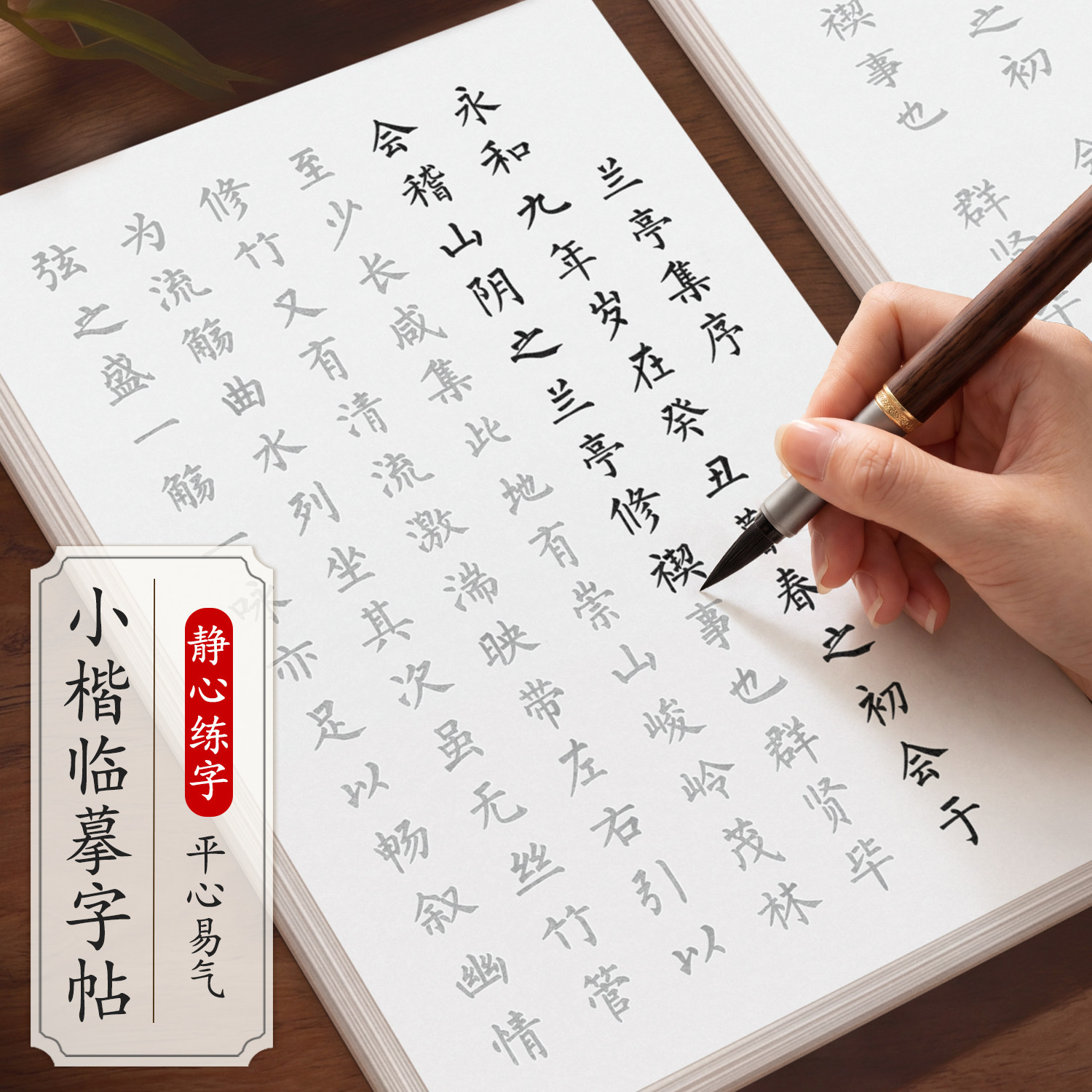 字帖成人练字静心女士修心练字帖女生字体漂亮簪花小楷临摹练字本软笔书法初学者入门套装毛笔秀丽笔兰亭集序作品纸宣纸钢笔式毛笔