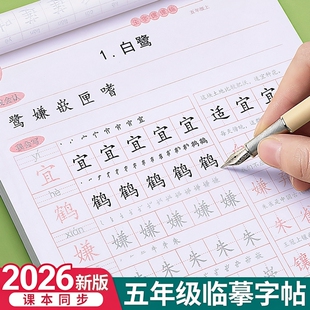 五年级上册下册课本同步语文字帖人教版控笔训练小学生练字帖每日一练笔画笔顺专用初学者练习写字帖硬笔书法
