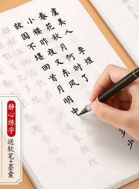 簪花小楷毛笔临摹字帖成人软笔书法初学者入门套装女士静心练字帖钢笔式练字专用毛笔字楷书练习纸秀丽笔宣纸
