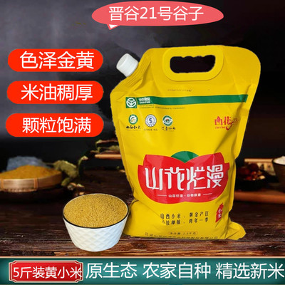 黄小米新米山花烂漫嘴嘴小米晋谷21号熬粥米山西特产五谷杂粮5斤