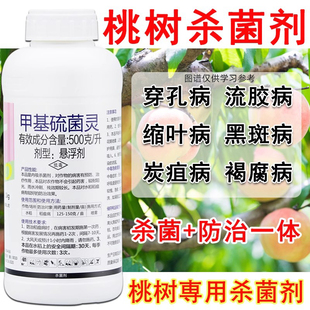 甲基硫菌菌灵杀菌剂桃树专用药流胶病缩叶病桃子树果树用农药大全