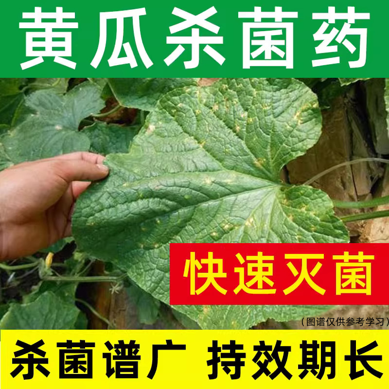 黄瓜杀菌剂农药蔬菜霜霉病黄叶病黄斑病靶斑病西红柿病毒病专用药