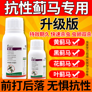 蓟马专用药杀虫剂虫卵双杀草莓茄子菊花黄瓜蔬菜果树农药杀虫大全