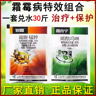 农药杀菌剂霜霉病组合霜脲锰锌72%烯酰吗啉80%黄瓜霜霉病农用杀菌