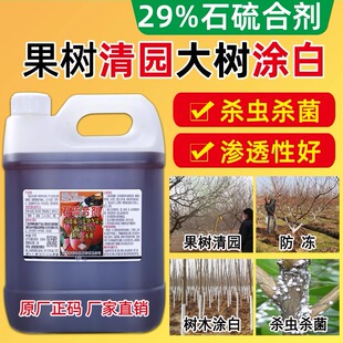 石硫石合剂清园农药杀菌剂水剂清园剂红蜘蛛杀虫剂涂白剂石流合剂