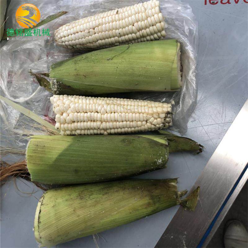 切鲜玉米设备 牛肉棒切块机 隧道式时产2000穗糯玉米切段机