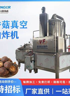商用香蕉片真空油炸锅 平菇低温真空油炸机 香酥黄鱼带鱼油炸锅