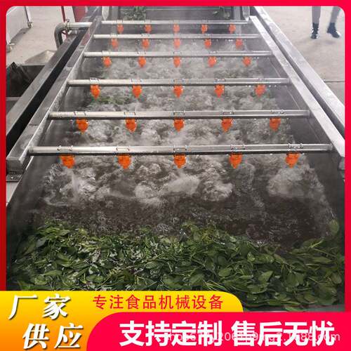 定制商用净菜加工清洗机小葱去泥气泡清洗机韭菜去泥气泡清洗机