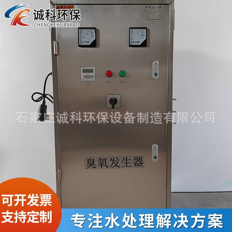 养殖业水冷式高浓度臭氧发生器泳池循环水用空气源小型消毒机设备