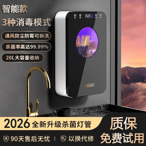 智能筷子消毒机烘干一体厨房消毒筷子筒家用小型壁挂收纳筷勺笼盒