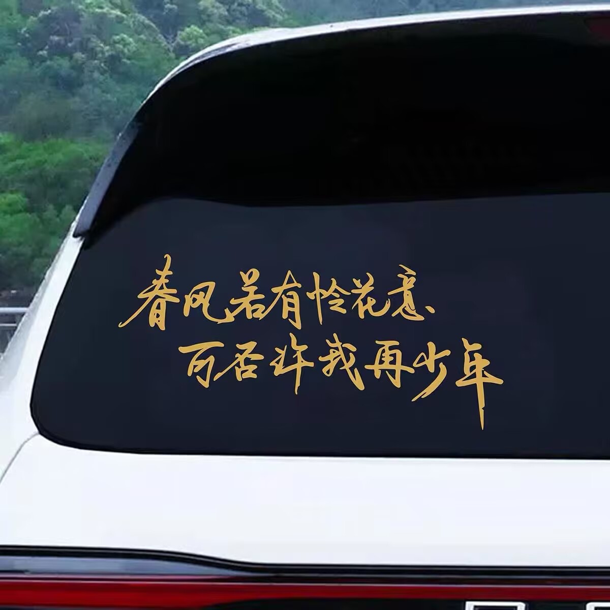 春风若有怜花意车贴汽车装饰车门后挡风玻璃创意励志个性文字贴纸