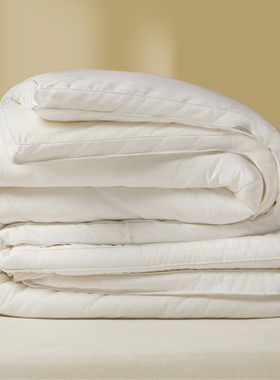 大豆纤维被子冬被棉被芯加厚保暖宿舍单人学生春秋四季太空调被褥