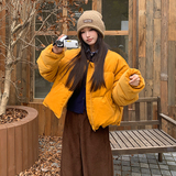 新款50绒现货丝绒面料短款羽绒服286-5121-P245-K368，女装羽绒服，安雅