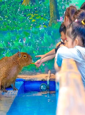 【夜场票】济南融创海世界（赠秘境漂流1次）提前一天购买