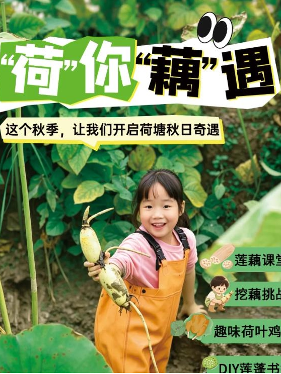 【北京】【“荷”你“藕”遇】莲藕知识科普，挖藕大作战，趣味荷叶鸡腿， DIY莲蓬书签，品尝荷叶鸡腿，开启荷塘