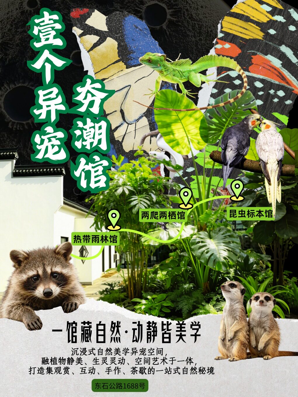 【上海】壹个异宠夯潮馆|新奇异宠体验|沉浸式异宠互动空间