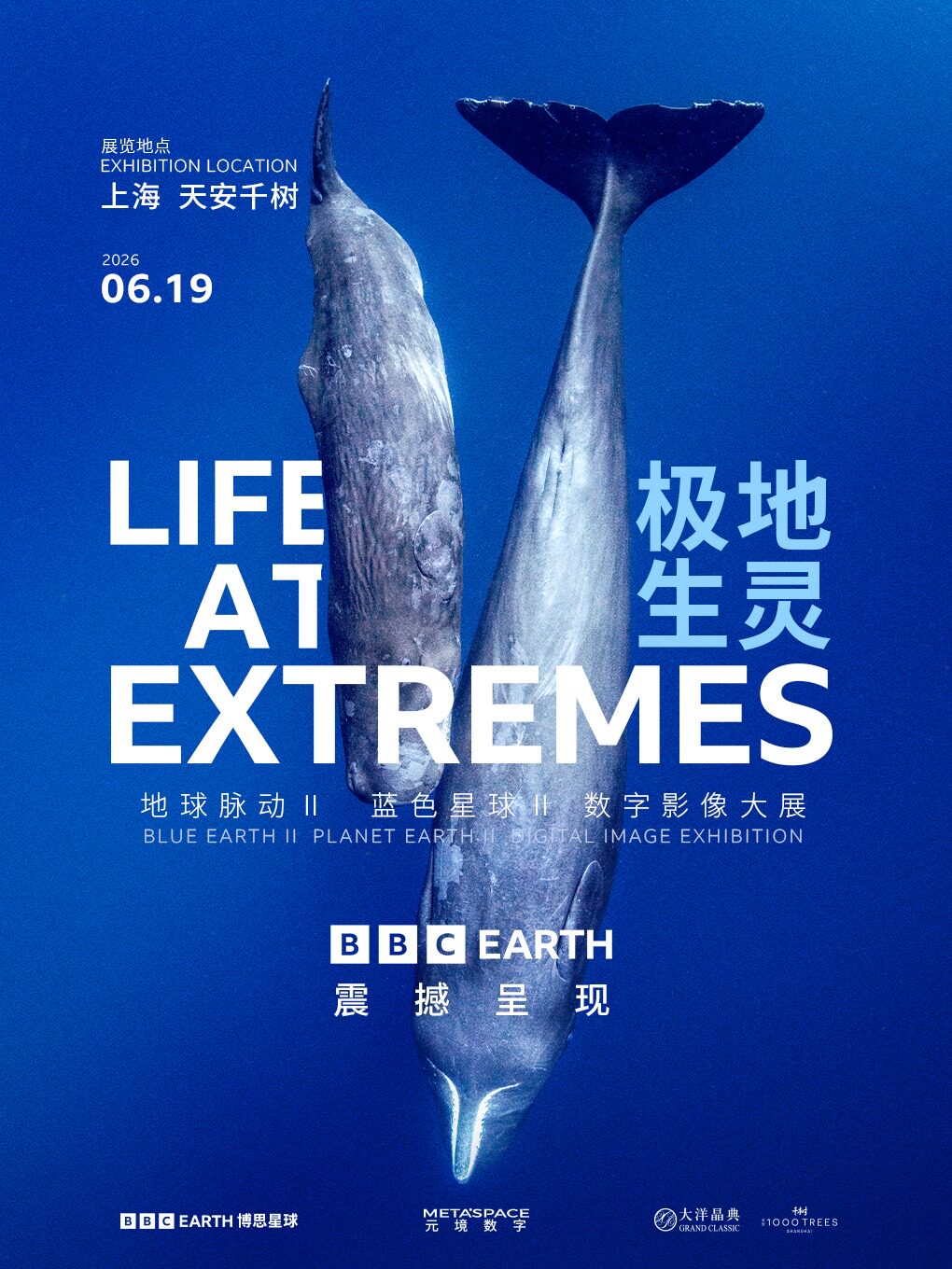 英国 BBC EARTH极地生灵数字影像大展