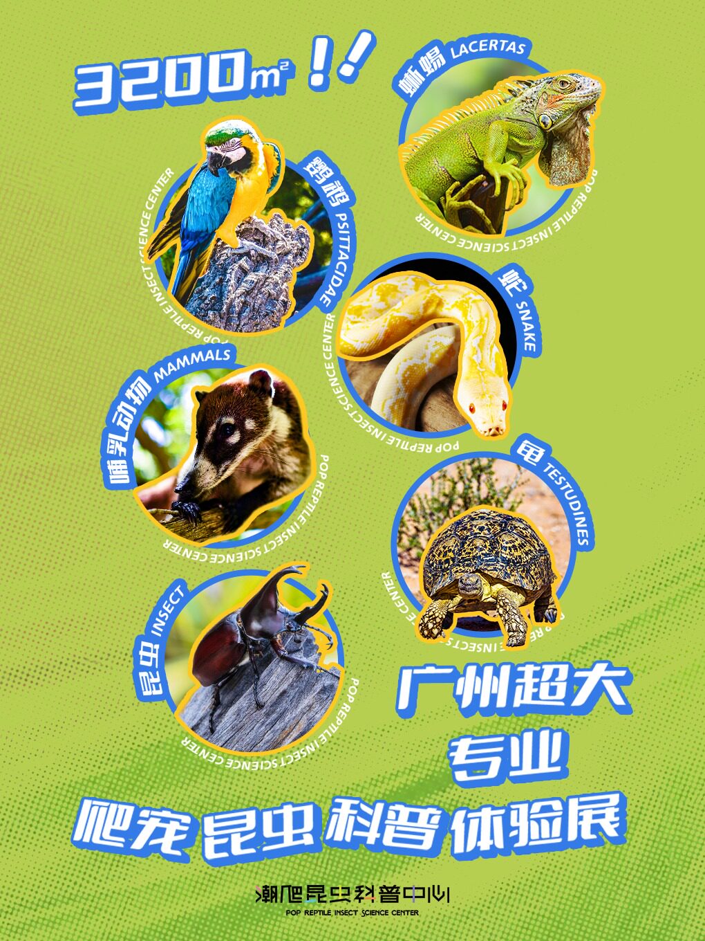 【广州】「潮爬昆虫科普中心」爬宠展 | 广州3200㎡超大专业爬宠昆虫科普体验馆