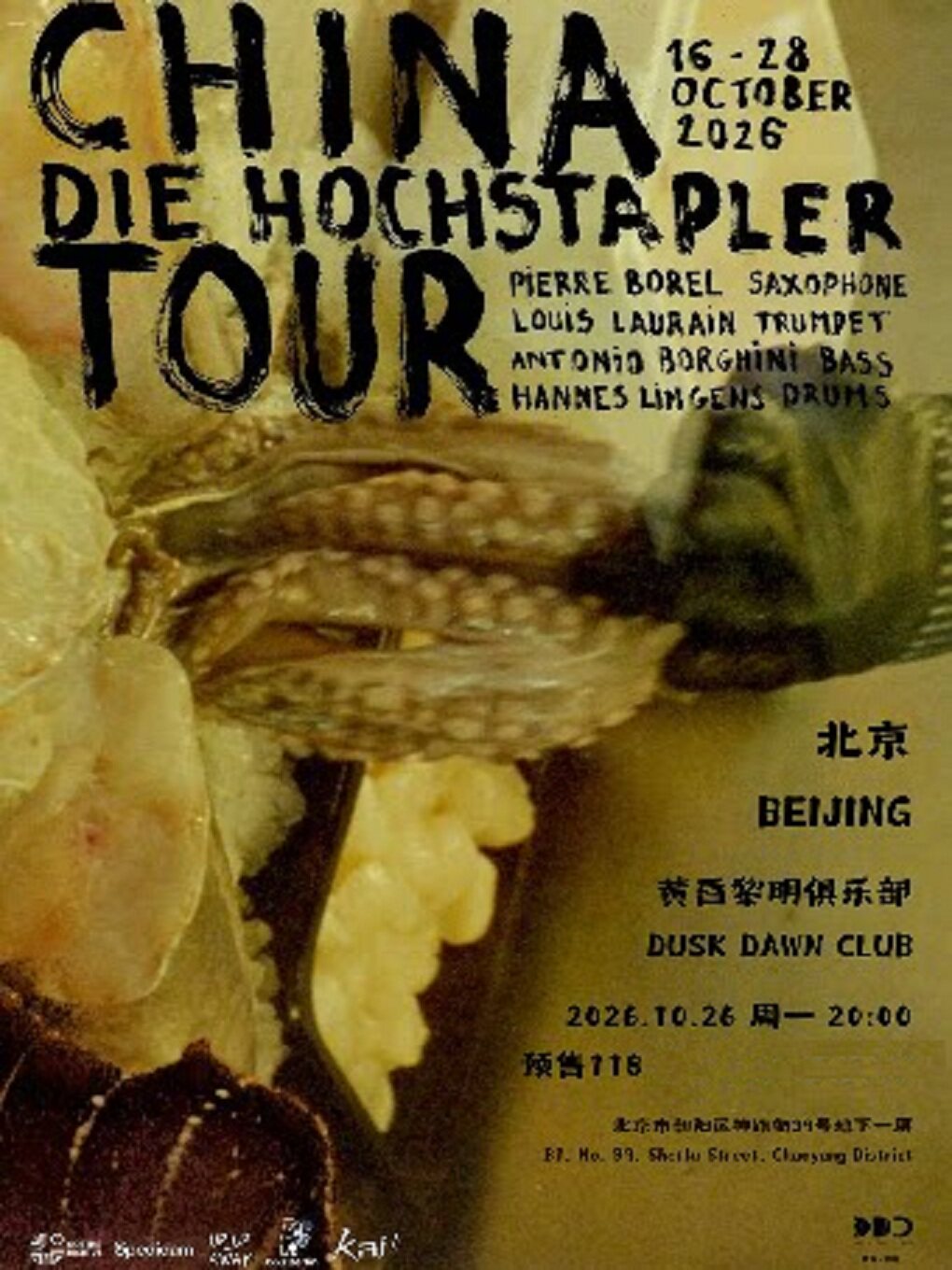 来自柏林的前卫乐队 DIE HOCHSTAPLER巡演 北京站